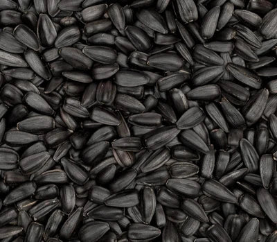 Aceite de comino negro